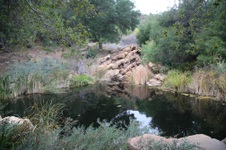 Enlarge photo 39
