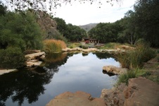 Enlarge photo 41