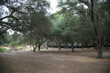 Enlarge photo 45