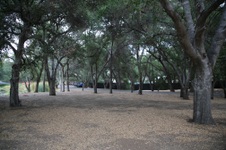 Enlarge photo 47