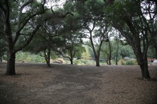 Enlarge photo 48