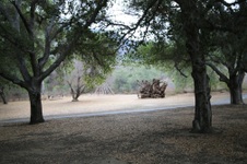 Enlarge photo 51