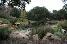Enlarge photo 52