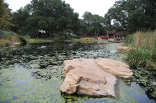 Enlarge photo 53
