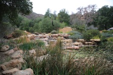 Enlarge photo 54