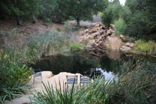 Enlarge photo 55