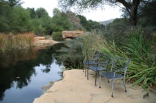 Enlarge photo 57