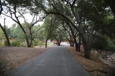 Enlarge photo 58
