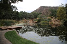 Enlarge photo 59