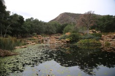 Enlarge photo 63