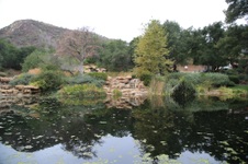 Enlarge photo 64
