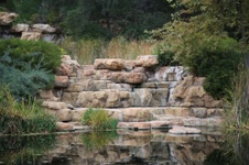 Enlarge photo 65
