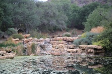 Enlarge photo 66