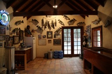 Enlarge photo 73
