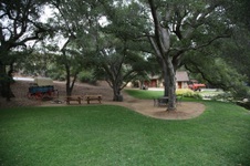 Enlarge photo 77