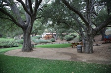 Enlarge photo 82