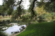 Enlarge photo 83