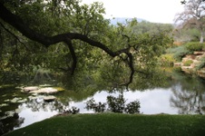 Enlarge photo 84