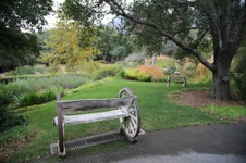 Enlarge photo 92