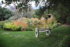 Enlarge photo 93