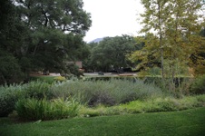 Enlarge photo 95
