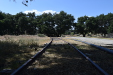 Enlarge photo 281