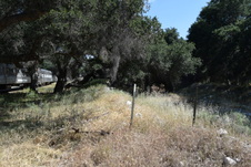 Enlarge photo 286