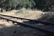 Enlarge photo 291