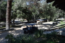 Enlarge photo 310