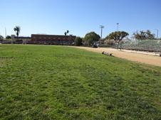 Enlarge photo 52