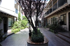 Enlarge photo 81