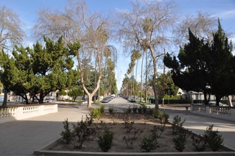 Enlarge photo 6
