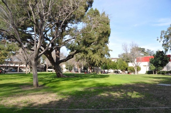 Enlarge photo 55