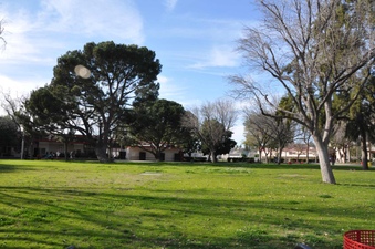 Enlarge photo 56