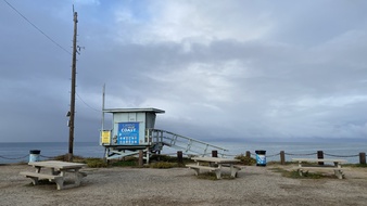 Enlarge photo 125