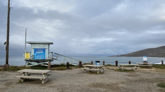 Enlarge photo 124