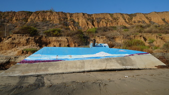 Enlarge photo 31