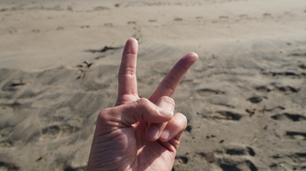 Enlarge photo 37