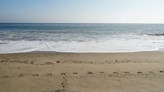 Enlarge photo 38