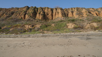 Enlarge photo 40
