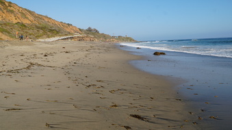 Enlarge photo 41