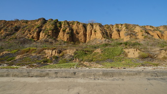 Enlarge photo 43