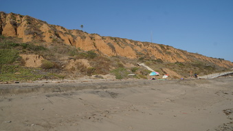 Enlarge photo 44