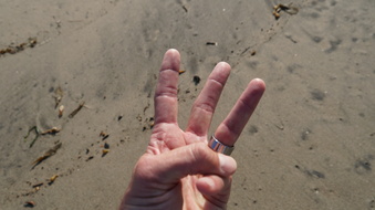 Enlarge photo 47