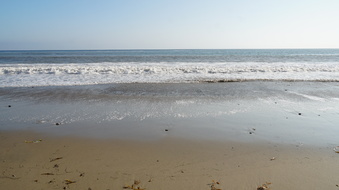 Enlarge photo 48