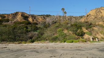 Enlarge photo 50