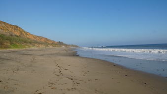 Enlarge photo 51