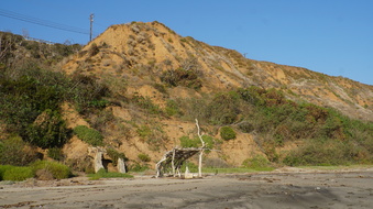 Enlarge photo 52