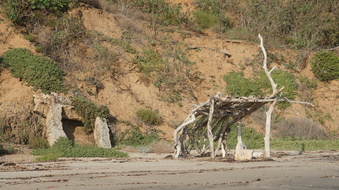Enlarge photo 53