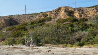 Enlarge photo 54